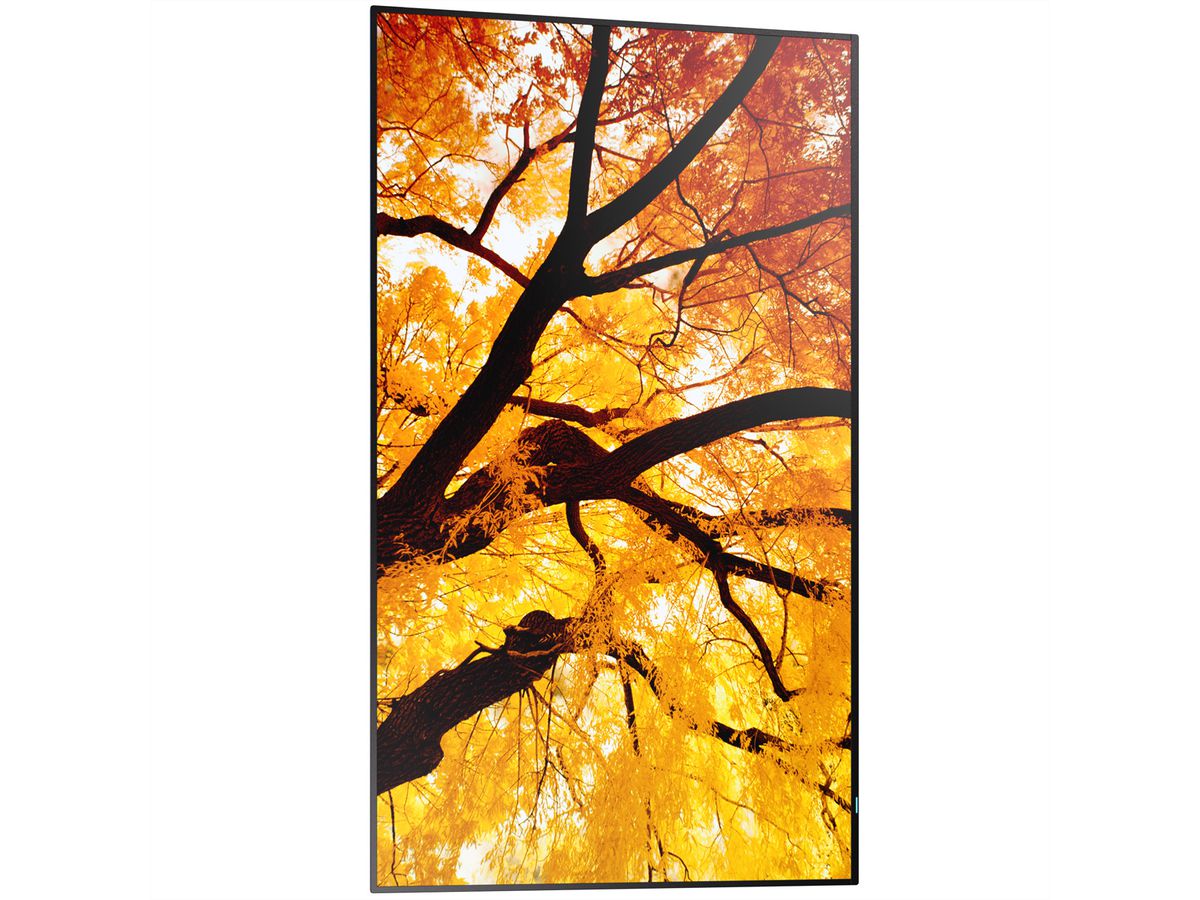 Sharp Signage Display MultiSync M322, 32", FHD, 24/7, 450cd/m²