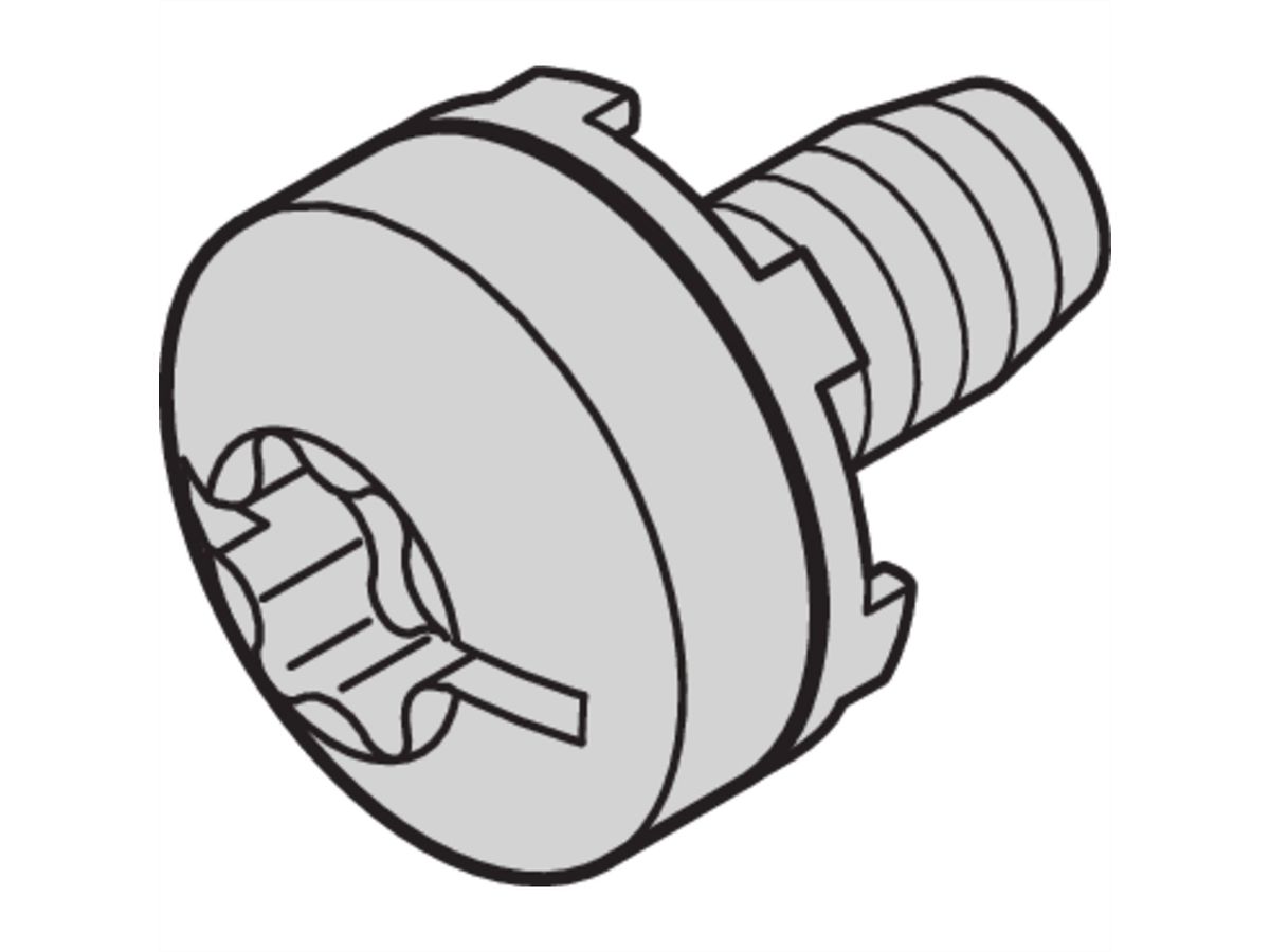 SCHROFF Vis Taptite M6 x 10