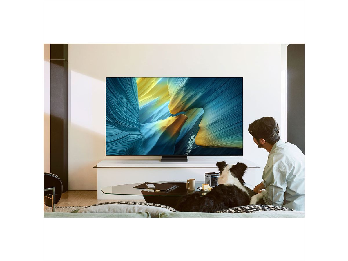 **Retoure**Samsung TV 65" S95F Series