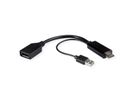 ROLINE Adaptateur HDMI - DisplayPort, v1.2, 4K, HDMI M - DP F, Actif