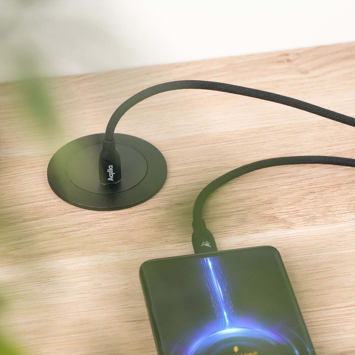 Aqiila Câble Cablebird CB11, 240W Type C vers Type C 1 mètre