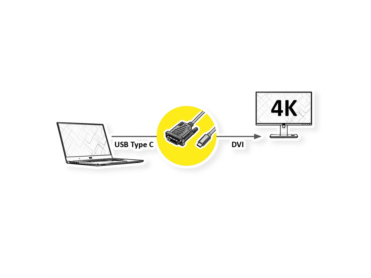 ROLINE Câble adaptateur type C - DVI, M/M, 1 m