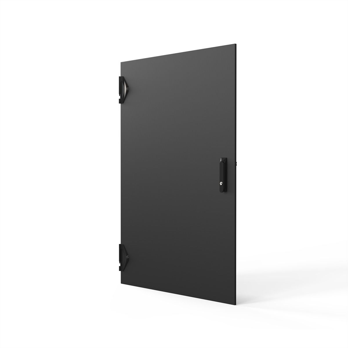 SCHROFF TUER 1200H 800B IP55 3PTS