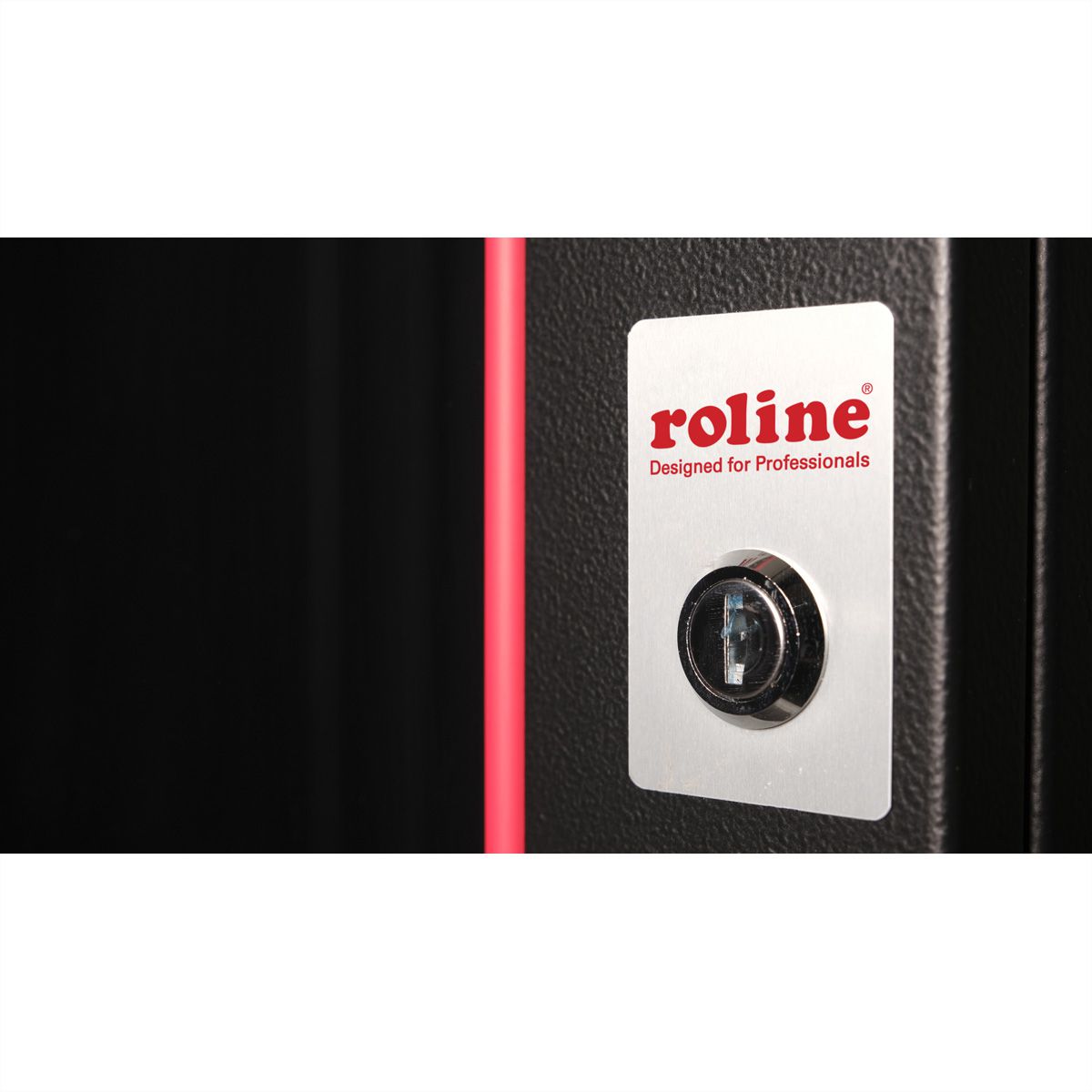 ROLINE 19-Zoll Wandgehäuse Pro 20 HE, 600x600 BxT schwarz