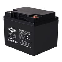 AEC 12VDC 40Ah Verschlossener, wartungsfreier Bleiakkumulator, Anschlüsse Female M6, Long Life, Ideal für USV Anlagen
