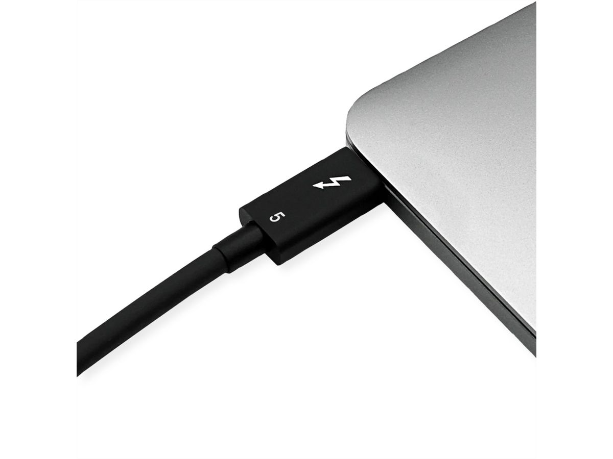 ROLINE Câble Thunderbolt™ 5 USB type C, M/M, 8K UHD-2, 80Gbit/s, 240W, passif, noir, 1 m