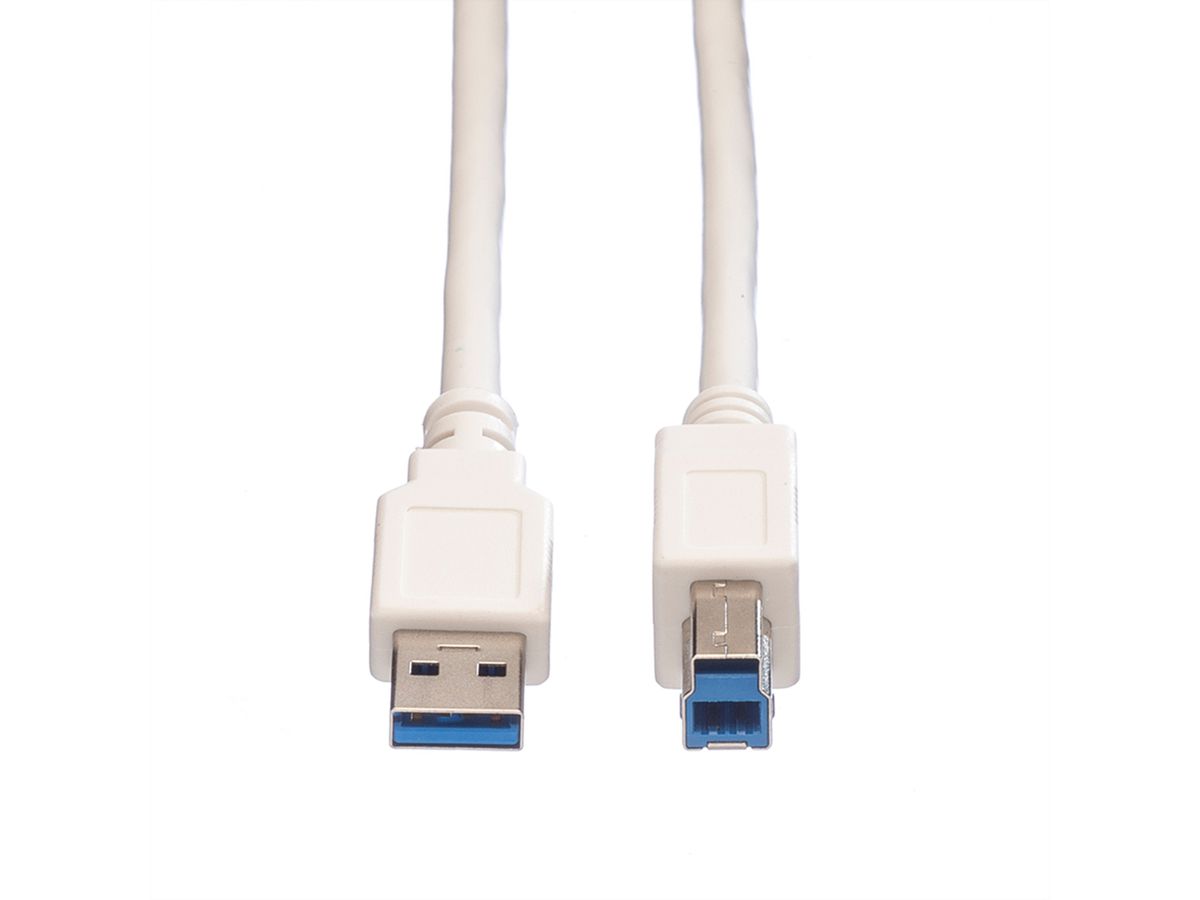 VALUE USB 3.2 Gen 1 Kabel, Typ A-B, weiß, 0,8 m