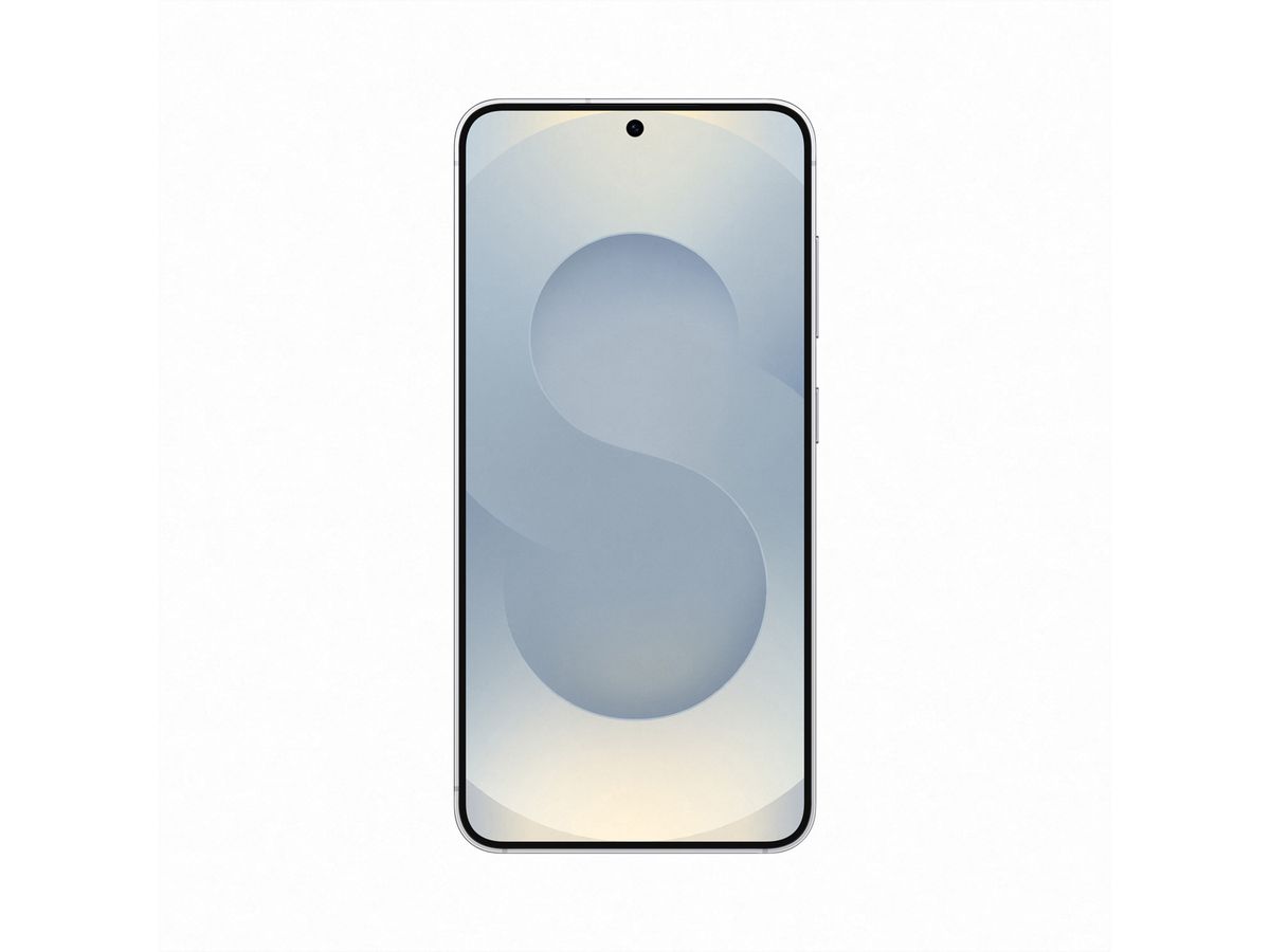 Samsung Galaxy S25 Enterprise Edition, 128 GB, Silver Shadow, 6.2''