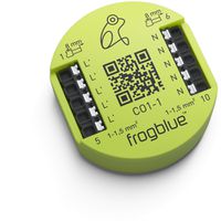 frogblue frogConnect1-1, Ableitung von Leckstrom