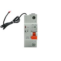 Shelly Leistungsschutzschalter 1CB C63 , grau