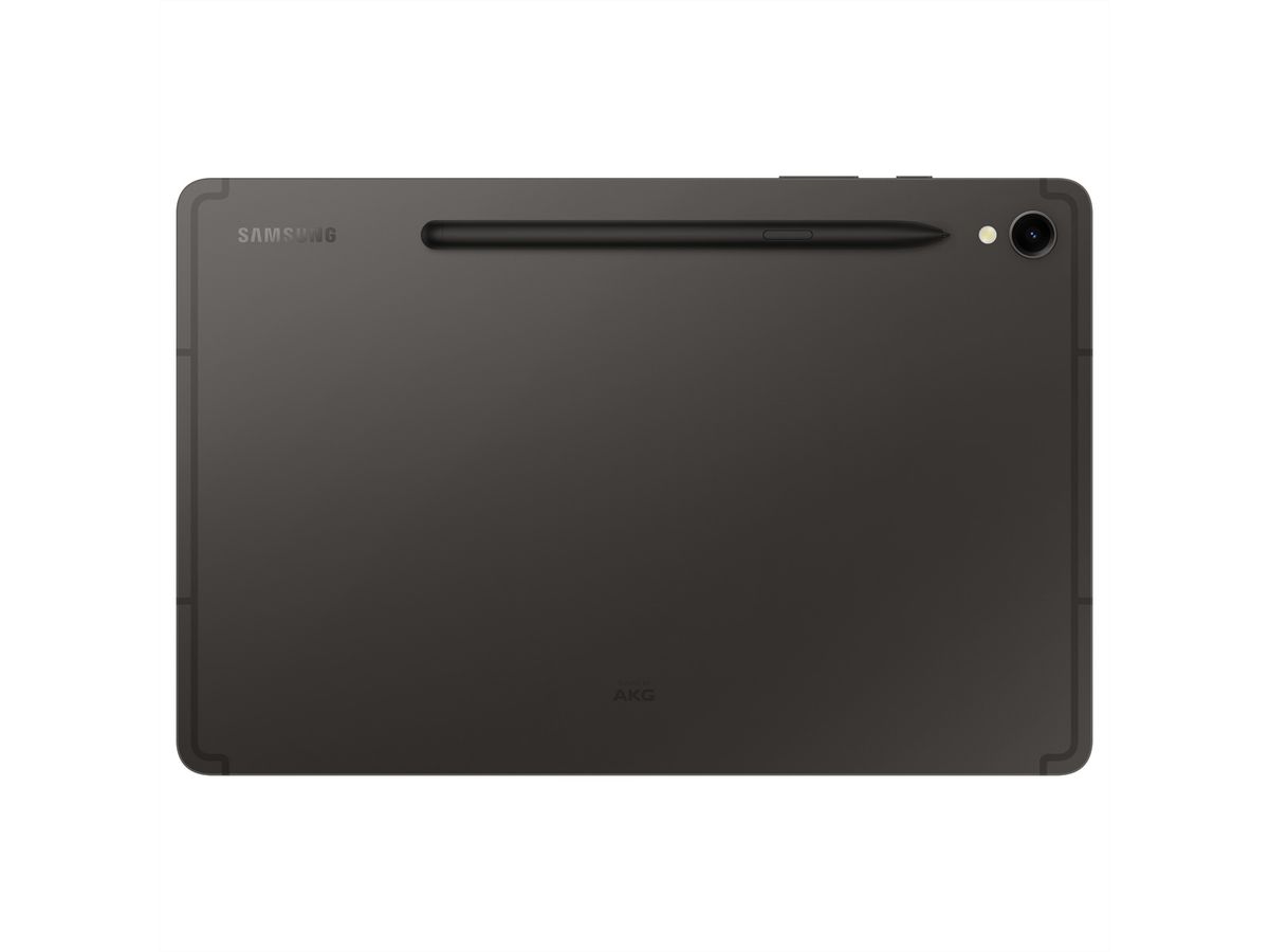Samsung Galaxy Tab S9, 256 Go, gray, 11''