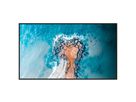 Hisense Signage Display 43DM66D, 43", 24/7, UHD, 500cd/m², 25% Haze