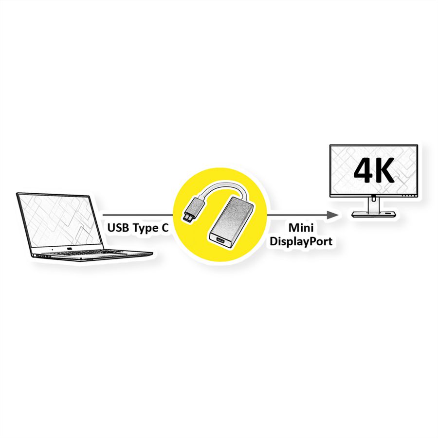 ROLINE Adaptateur Type C Mini DisplayPort, v1.2, M/F