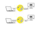 ROLINE Câble adaptateur USB-C - DisplayPort, v1.2, M/F, bidirectionnel, 0,2 m