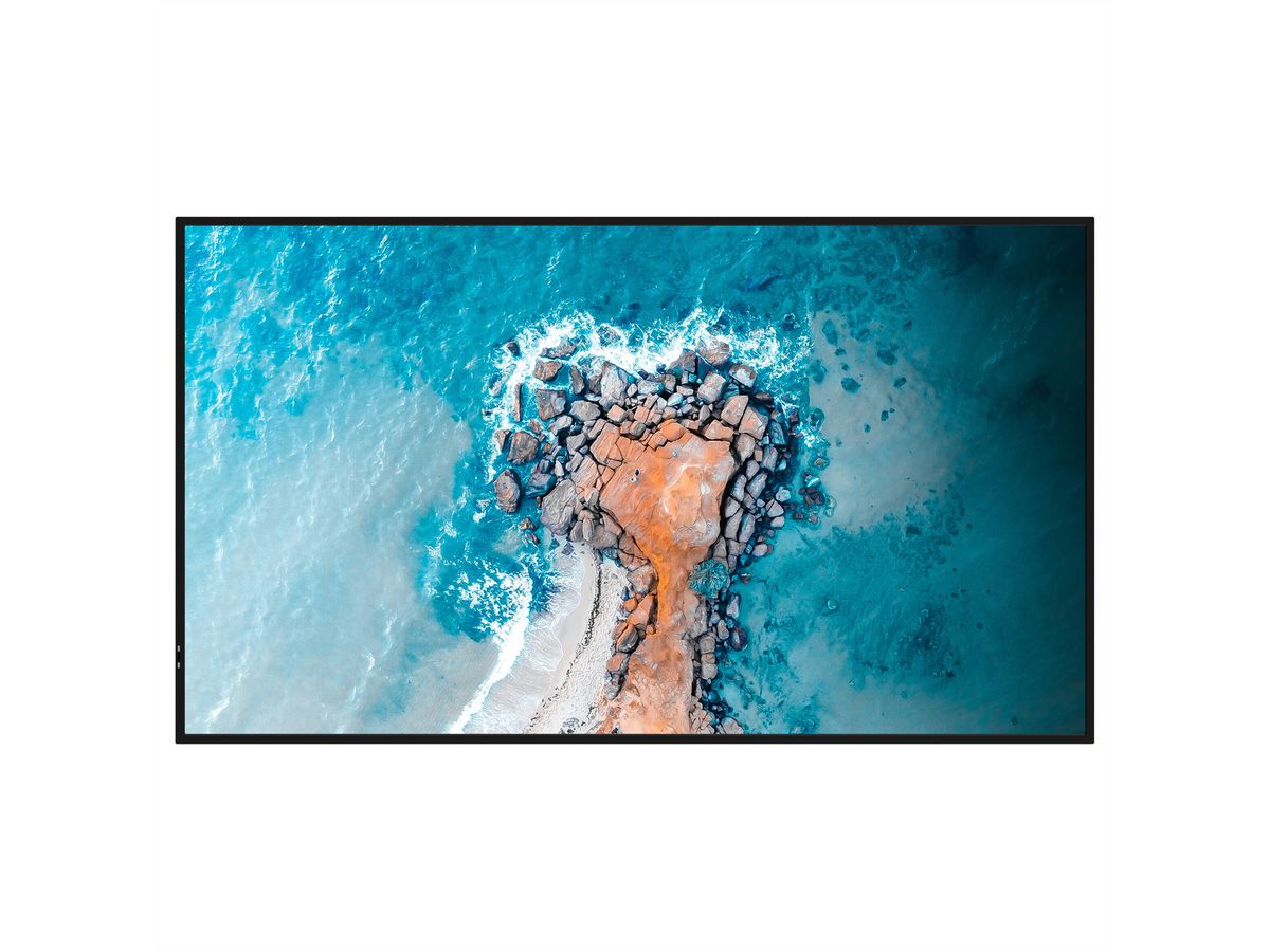 Hisense Digital Signage Display 65DM66D, 65” 4K UHD Digital Signage Display - 24/7 Operation
