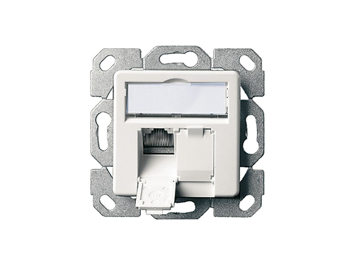 TELEGÄRTNER Embase double AMJ45/50, Cat.6A (Classe EA) blanc cassé, (A+B+C)