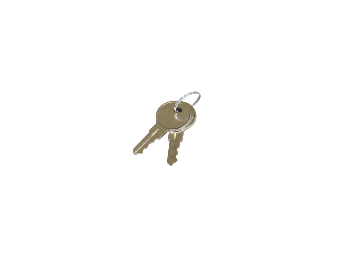Middle Atlantic Products SFD-KEY Rack Zubehör Sperrschlüssel