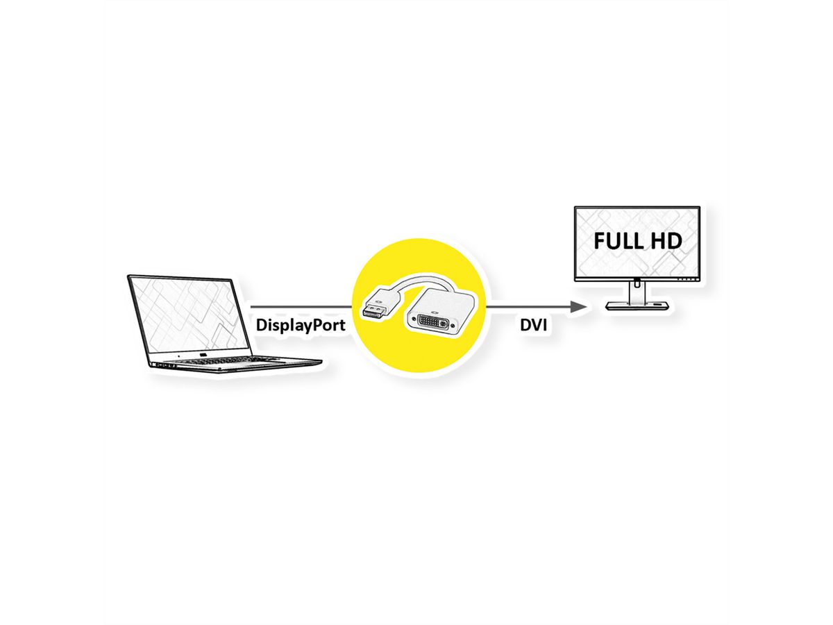 ROLINE DisplayPort-DVI Adapter, DP Stecker-DVI Buchse