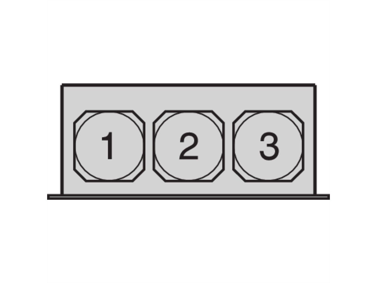 SCHROFF Boîtier d'unité de ventilation 19", 1 U pour 3 ventilateurs, 38 mm
