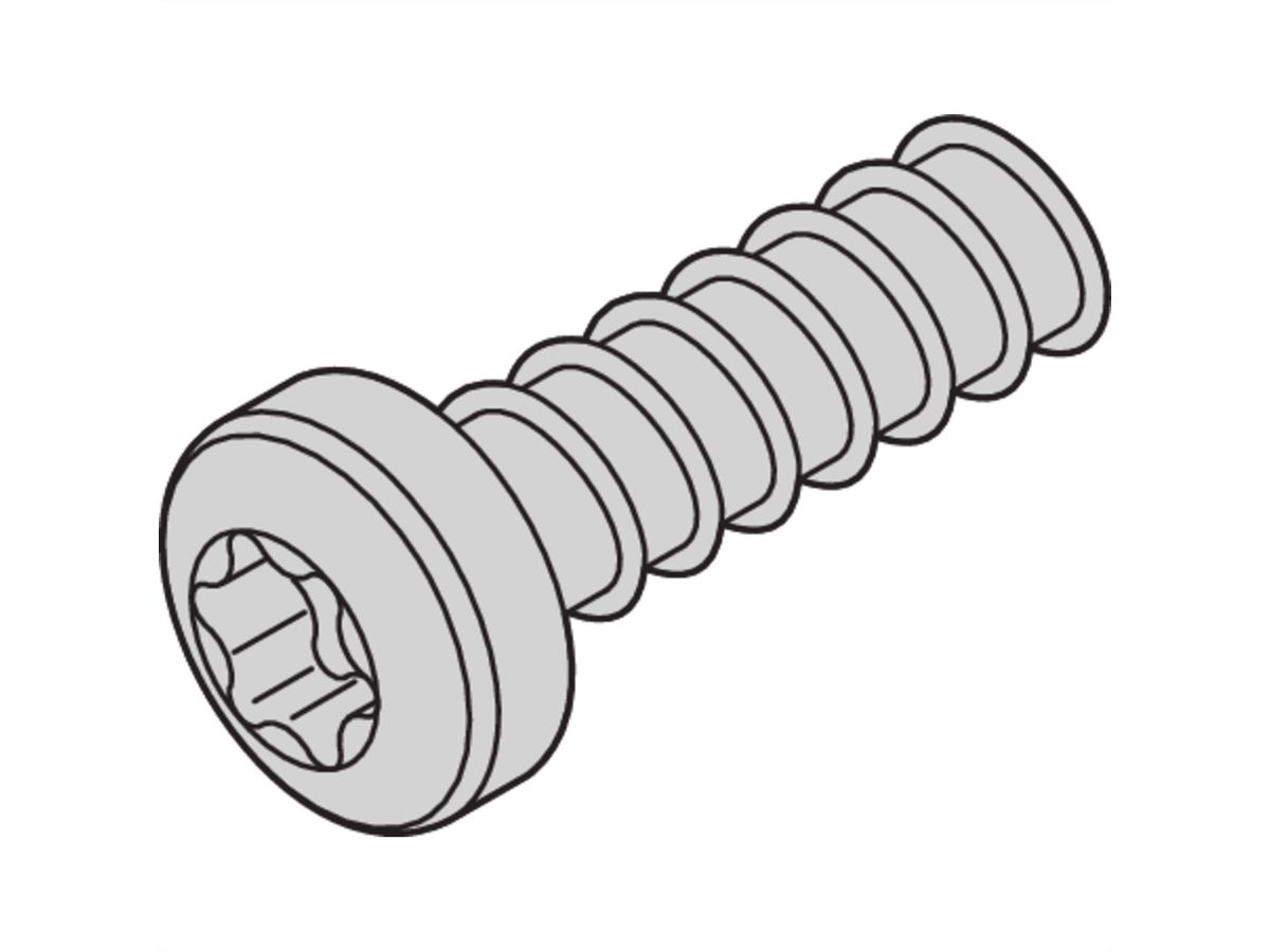 SCHROFF Linsenkopfschraube mit Torx - LIKOSCHR-TORX.2.5X7.3 100ST