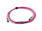 VALUE MPO-Trunk-Kabel 50/125µm OM4, MPO/MPO, TYPE A, violett, 3 m