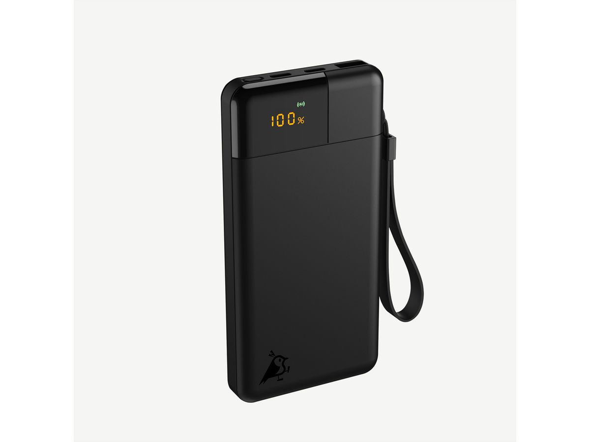 Aqiila Powerbank Powerbird B10, 20W, Schwarz, 10.000 mAh
