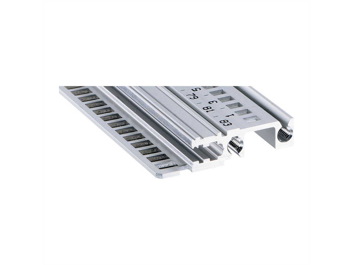 Rail horizontal SCHROFF, avant, type H-LD, lourd, lèvre longue, pour application IEEE, 20 HP