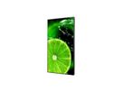 NEC Signage Display MultiSync E988, 98", UHD, 16/7, 350cd/m²