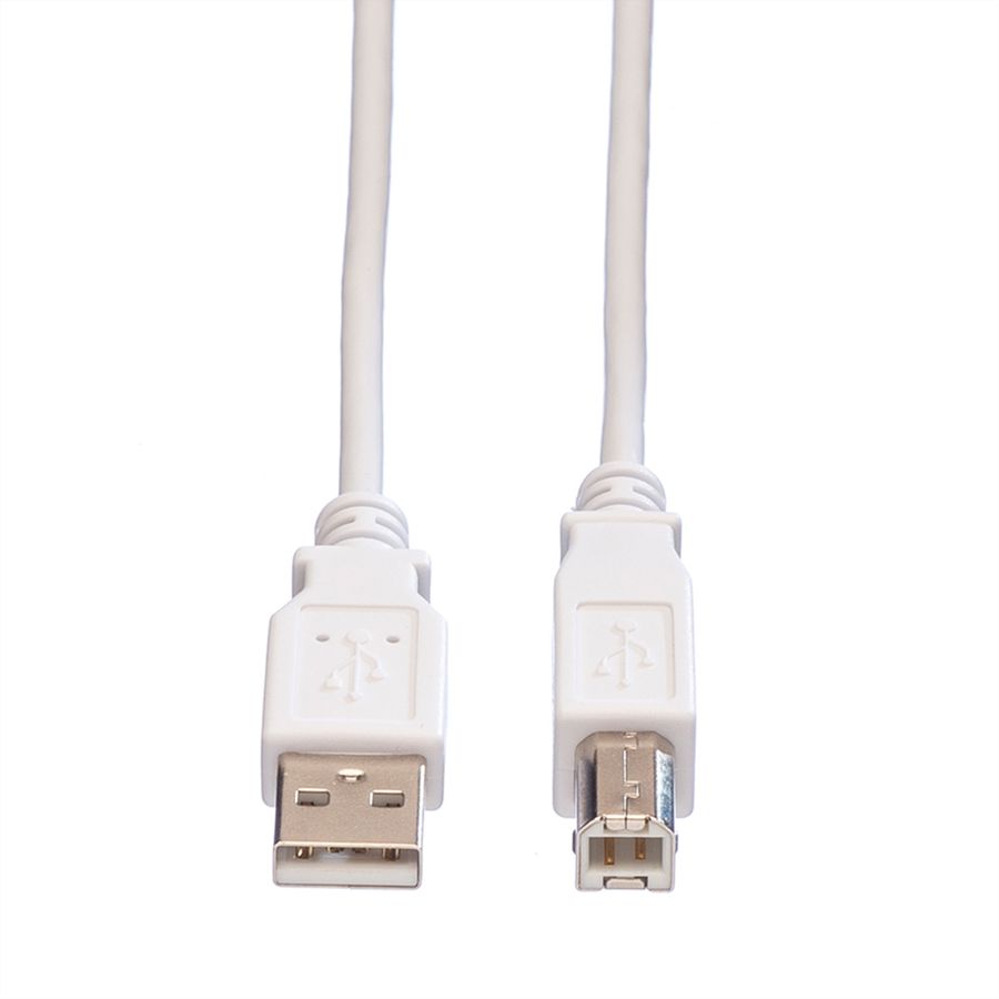 VALUE Câble USB 2.0 Type A-B, blanc, 0,8 m