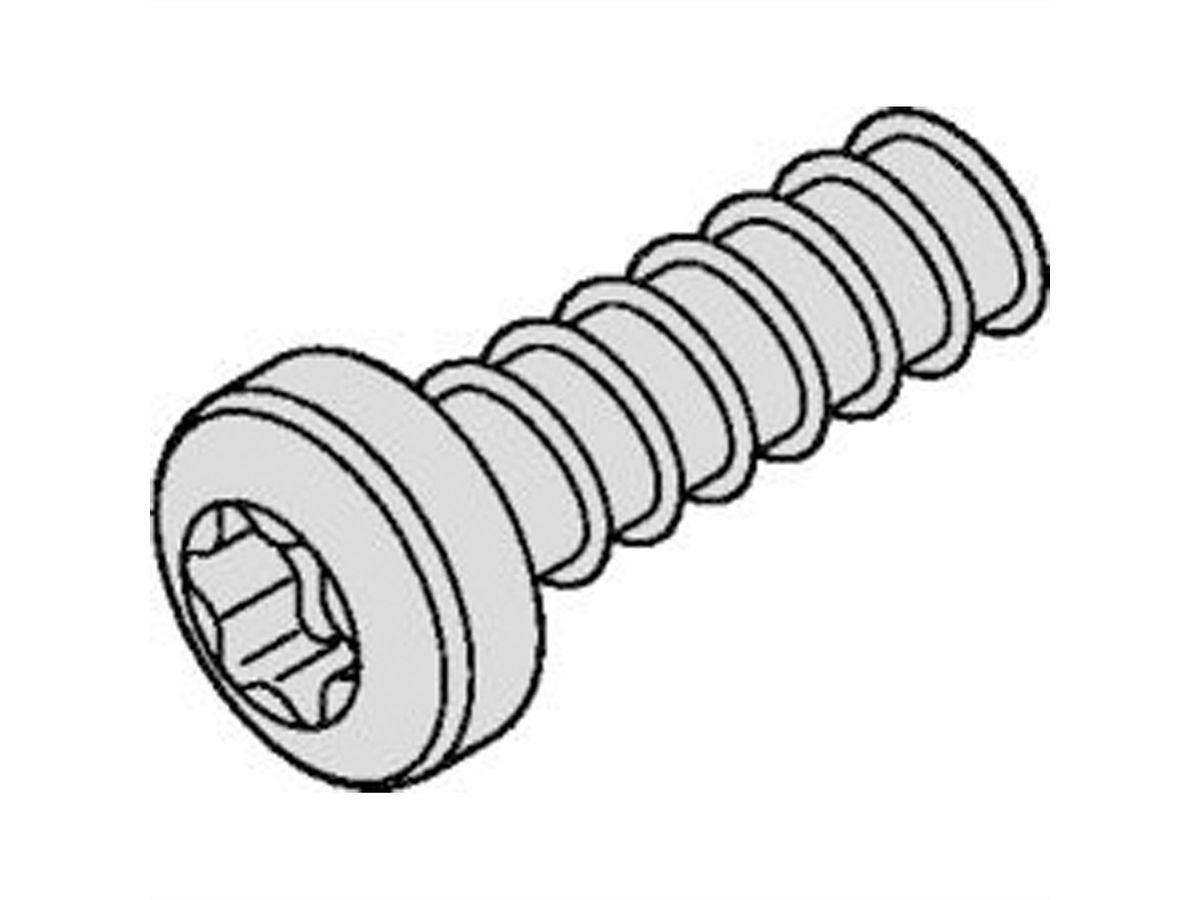 SCHROFF Linsenkopfschraube mit Torx - LIKOSCHR-TORX.2.5X7.3 100ST