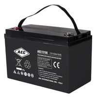AEC 12VDC 100Ah Verschlossener, wartungsfreier Bleiakkumulator, Anschlüsse Female M8, Long Life, Ideal für USV Anlagen