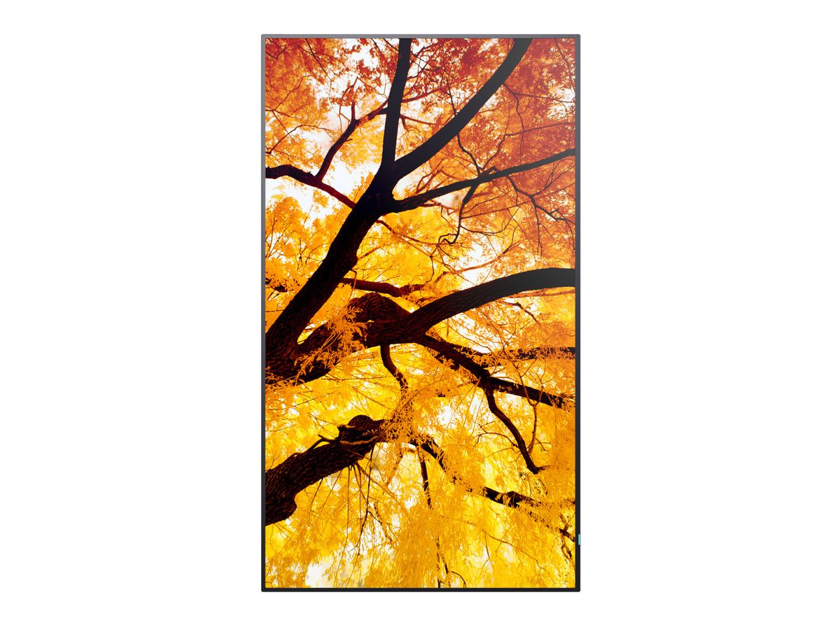 Sharp Signage Display MultiSync M552, 55", UHD, 24/7, 550cd/m²