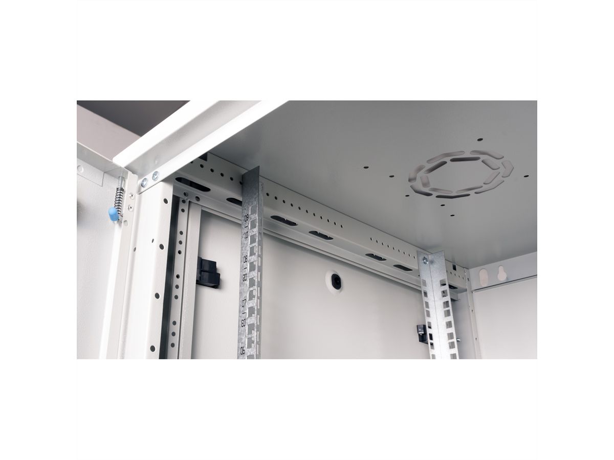 ROLINE 19-Zoll Wandgehäuse Basic Plus 9HE, 600x600 BxT grau