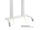 ROLINE Support LCD/TV sur roues, 70–120 pouces, jusqu'à 140 kg, noir