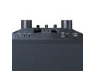 Lenco PA-Anlage PA-220BK, 2 Mikrofone,, BT, Party Licht, 120W RMS