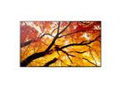 Sharp Signage Display MultiSync M552, 55", UHD, 24/7, 550cd/m²
