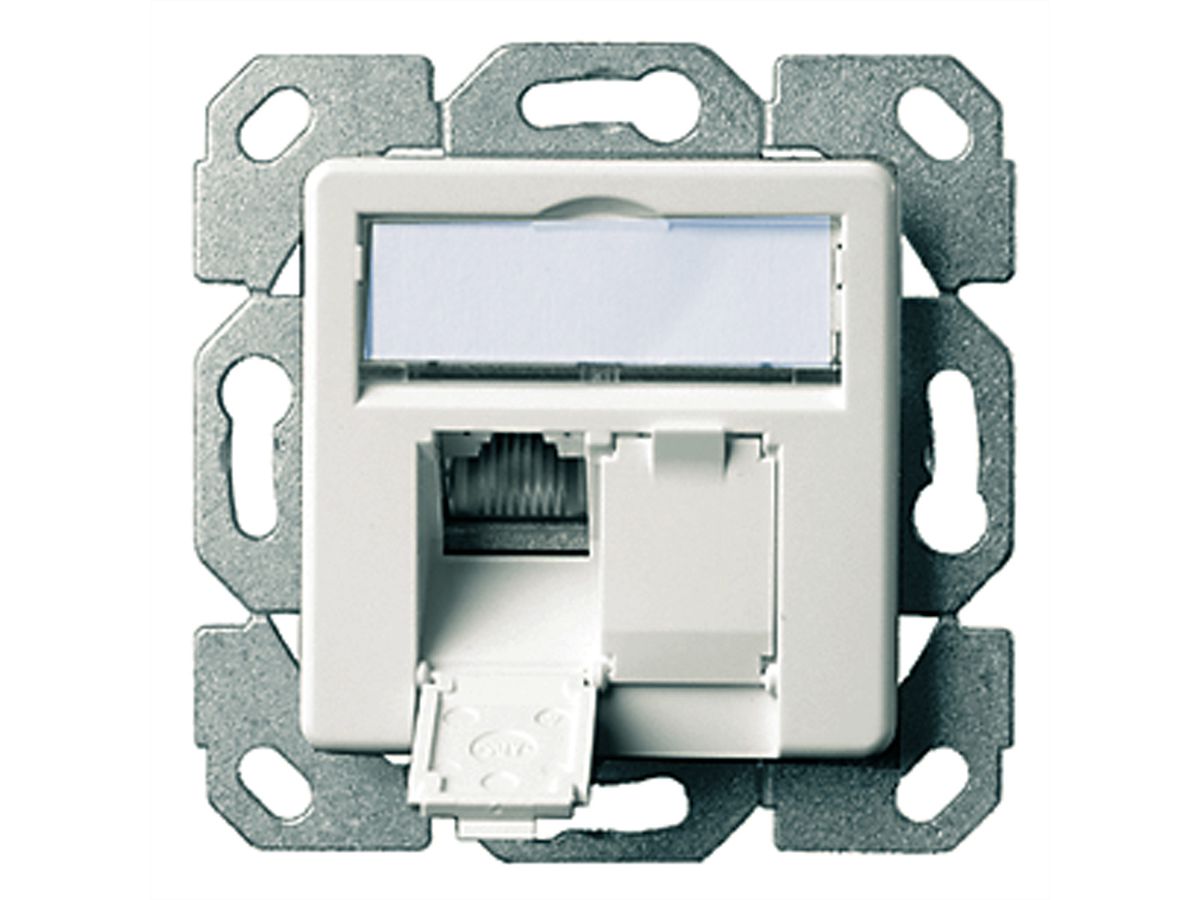 TELEGÄRTNER Dose AMJ45 UP/50 2x RJ-45 Cat.6 (Class E), alpinweiss