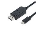 ROLINE Câble adaptateur type C - DisplayPort, v1.4, M/M, 1 m