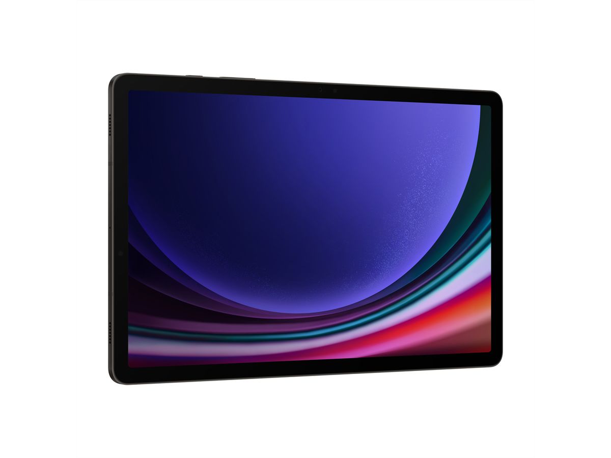 Samsung Galaxy Tab S9, 256 Go, gray, 11'', 5G