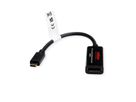 ROLINE Câble adaptateur USB-C - DisplayPort, v1.2, M/F, bidirectionnel, 0,2 m