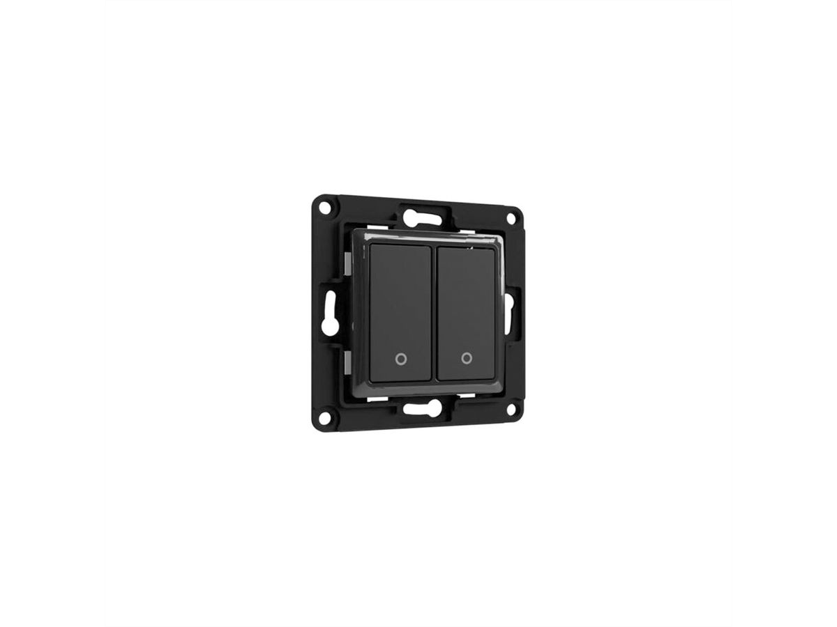 Shelly Unterputz Wall Switch х2