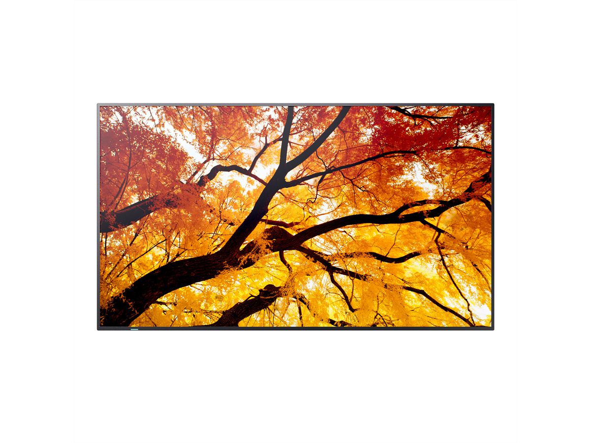 Sharp Signage Display MultiSync M552, 55", UHD, 24/7, 550cd/m²