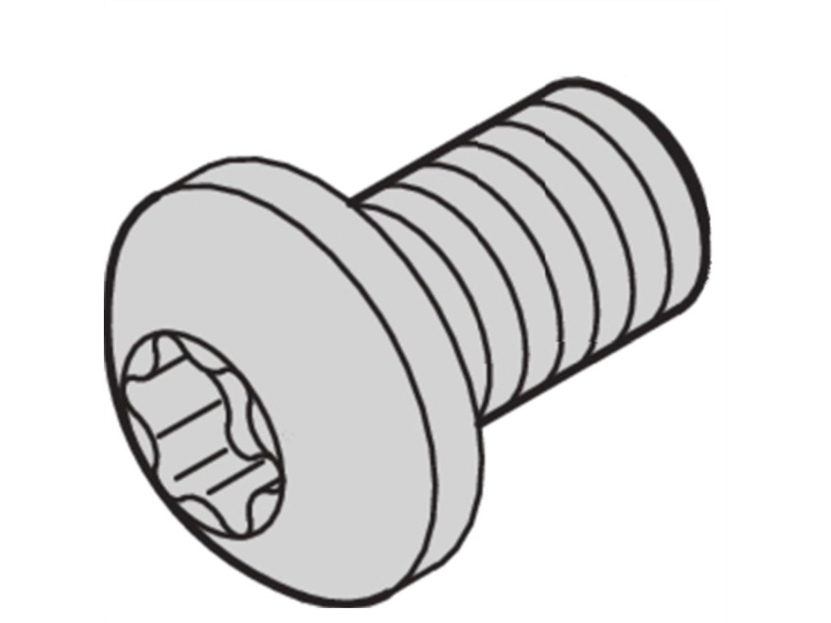 Vis à tête cylindrique de SCHROFF, Torx, fonction GND, acier zingué, M4 × 6 mm, 100 pièces