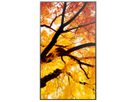 Sharp Signage Display MultiSync M432, 43", UHD, 24/7, 550cd/m²