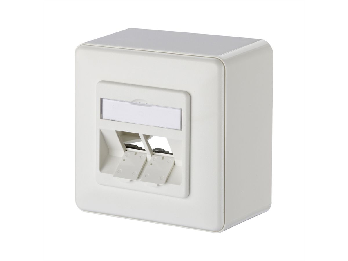 METZ CONNECT Keystone boîtier de raccordement montage en saillie 2 ports non équipé blanc pur