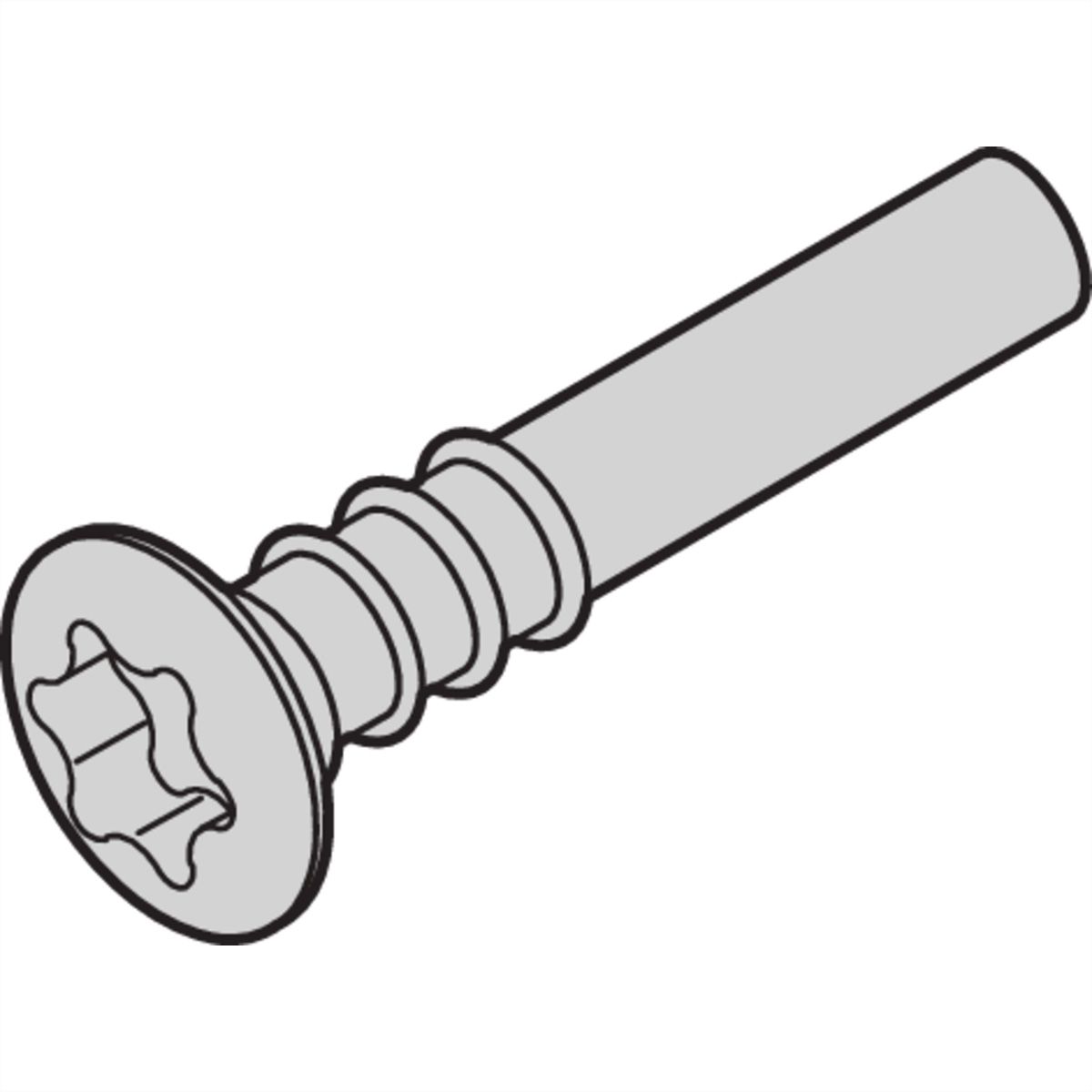 Vis à tête fraisée SCHROFF, Torx, 3 x 20, 100 pcs