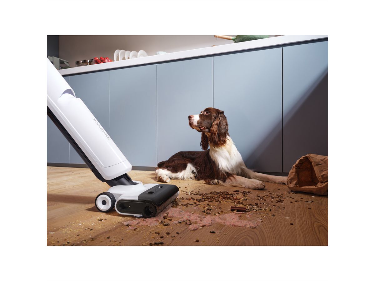**DEMO**Roborock Aspirateur eau et poussière Flexi Lite