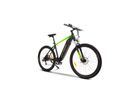 Argento E-Bike Performance