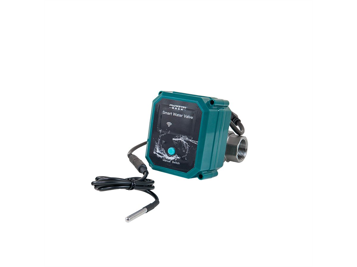 Shelly FrankEver Ventilsteuerung DN20