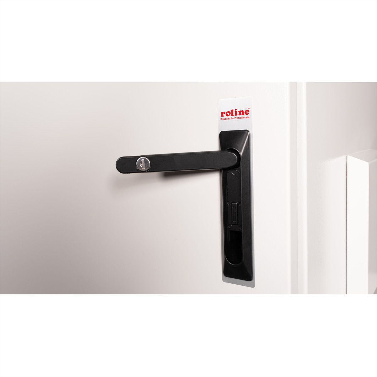 ROLINE 19-Zoll Wandgehäuse Pro 9 HE, 600x600 BxT IP55 outdoor grau